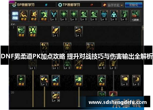 DNF男柔道PK加点攻略 提升对战技巧与伤害输出全解析